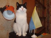 DSC04757.jpg