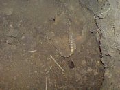 DSC01587.JPG