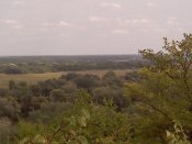 IMG_20130817_135206.jpg