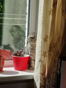 IMG_20230529_161210_453.jpg