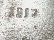 7674959.jpg
