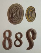 Кокарды РИА. Змейка и "8-ки" - бонусом.
