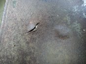 20130922_181442.jpg