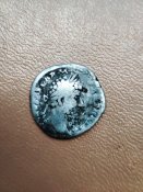 1685957157558.jpg