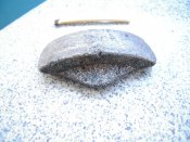DSCN0716.JPG