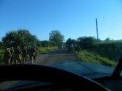 DSCN6200.JPG