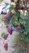 20220915_172706.jpg