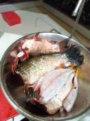 IMG_20230610_212220.jpg