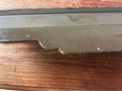 IMG_5250.jpeg