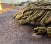 Цілий Німецький Орел на Пікельхельм «ПСВ» )
