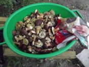 DSCF3888.JPG