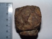 CIMG2125.JPG