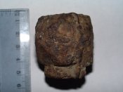 CIMG2127.JPG