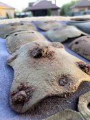 Деталі з Двох Пікельхельмів 2-го Кірасирського Кавалерйіського Полку «Королева» - “Königin”.