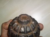 25092013960.JPG