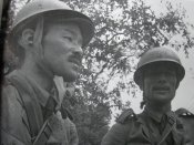 helm.jpg
