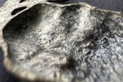 Кокарда Мертва Голова Брауншвейського типу (ПСВ) з Німеччини.