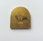 Штурм Зимнего