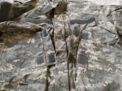 Китель США ACU, рост 175 см