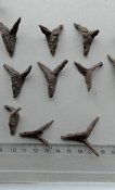 IMG_1-20230702_160848.jpg