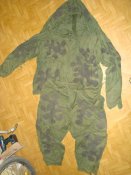 DSC07271.JPG