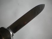 DSCN6423.JPG