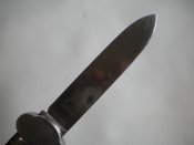 DSCN6424.JPG