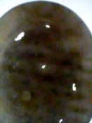Фото0105.jpg