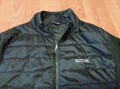 IMG_20230710_100455.jpg