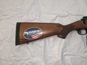 PXL_20230710_121000254.jpg