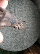 IMG_20230712_165637.jpg