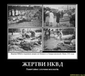 зк6.jpg