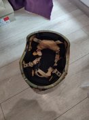 IMG_20230709_112725.jpg