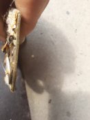 Колодка с медалями