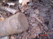 DSC00676.JPG