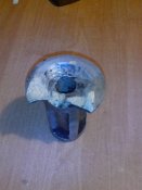 IMG_20130929_063507.jpg