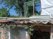 IMG_20230716_104918.jpg