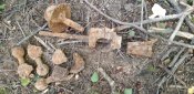 20230718_180811.jpg