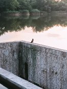 IMG_20230719_200901.jpg