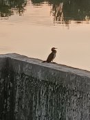 IMG_20230719_200910.jpg