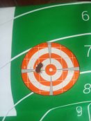 IMG_20230119_112918.jpg