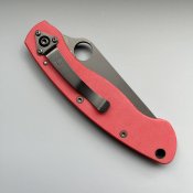 IMG_8049.jpeg