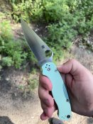 IMG_5423.jpeg