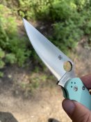 IMG_5425.jpeg