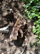 IMG_20230726_201241_614.jpg