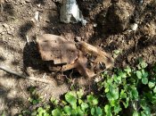 IMG_20230726_201241_732.jpg