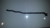 20230727_105613.jpg