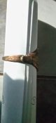IMG-4d3d123044c002ce53046478484525cb-V.jpg
