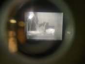 IMG_0039.jpeg