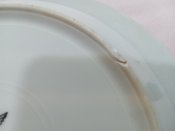 5_20230729_171417240.jpg